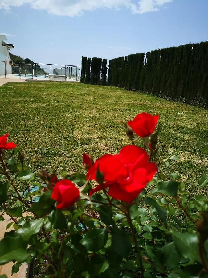 Dana II Eurogolf, Vistas, Wifi, Piscina Y Parking Apartment Benalmadena Spain